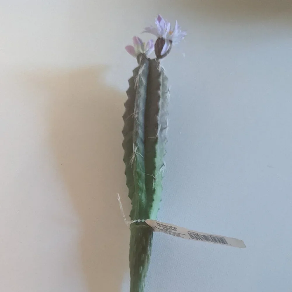 NWT Ashland 2 Spiky Mini Desert Cactus Flower Stems Faux Floral Decor Michaels